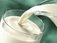The health risks of milk and dairy products are a shocking truth!